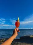 Infinity Diving Resort and Residences - Beach