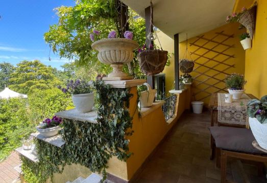 홈 스위트 홈 이미지