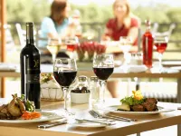 Diemersfontein Wine & Country Estate Hotels in Wellington