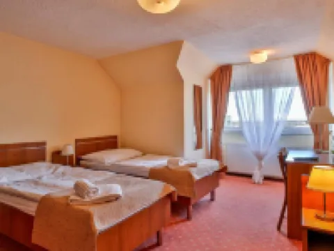 Hotel Tábor Hotels in Tabor