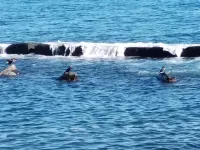 馬爾德詩人飯店