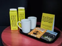 Stayery Cologne Ehrenfeld