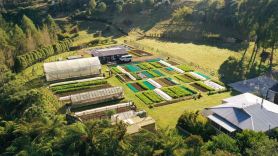 Slow Stay at Roebuck Farm