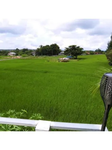 รูปภาพของPernjai Homestay เพลินใจโฮมสเตย์