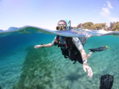 アルモニア - エレガント アパートメント