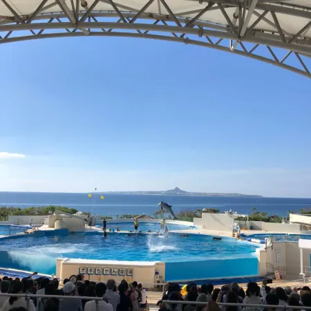 Okinawa Freedom