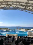 Okinawa Freedom