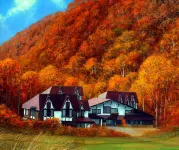 츠바메 하일랜드 로지 Myoko Kogen 주변 호텔