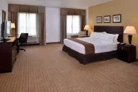 Holiday Inn 麥迪遜在美國中心 - 接送服務/穿梭巴士