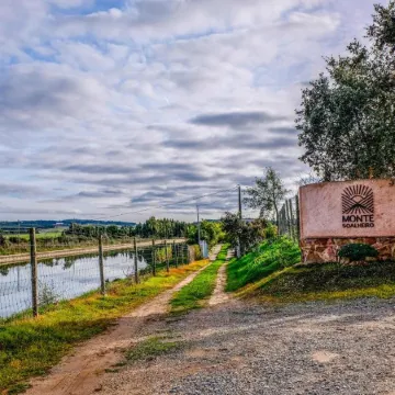 Monte Soalheiro
