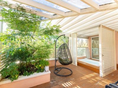 共有エリア 小谷流の里 ドギーズアイランドの写真