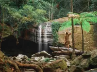 Amore on Buderim Rainforest Cabins Hotel di Mooloolaba
