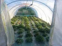 La Grange Hotels in Pierrefitte-sur-Sauldre