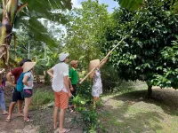 Winter Spring Homestay Center