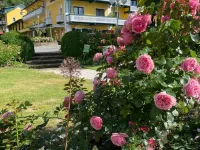 Seehotel Steiner Hotels in Seeboden