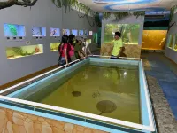 Amaca Eco Station - Homestay