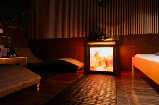 Premium Business Hotel Bratislava