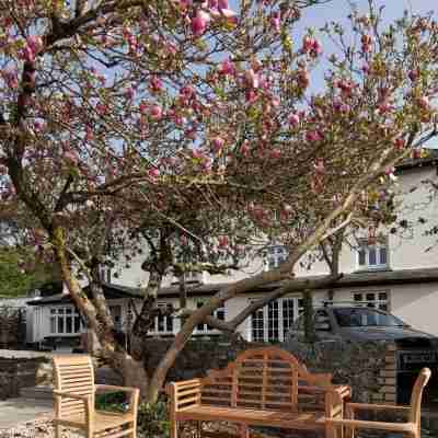 Furzeleigh Mill Hotel Exterior