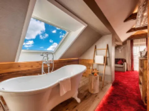 ホテル シェフラーヴィート アシュハイムのホテル