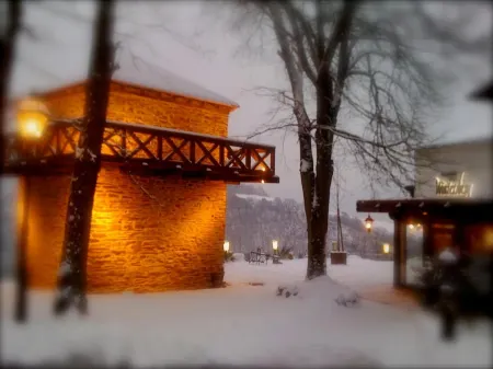 Berghotel Wintersberg Отели в г. Бад-Эмс