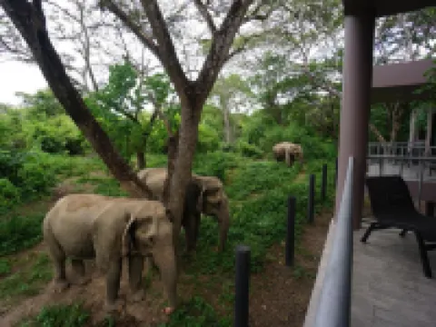 I love phants Lodge โรงแรมในอำเภอ ท่ายาง