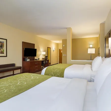 Comfort Suites Greenville South Отели в г. Андерсон