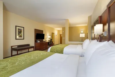 Comfort Suites Greenville South Hotels in Anderson County