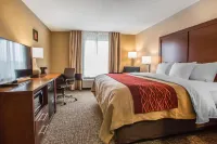 Comfort Inn PA Turnpike - I-81