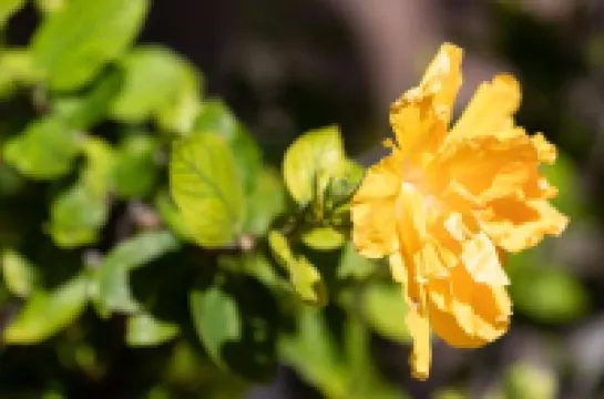 Residencial El Llano