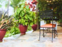 سالاما فيليدج كيغالي Hotels near مركز انيما للفنون