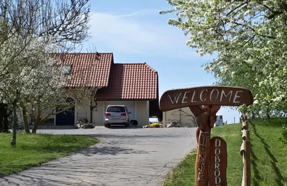 特瑞內住宿加早餐旅館