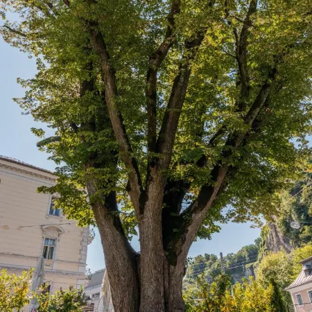 Residence Mozart by Welcome to Salzburg