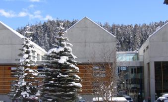 All in One Hotel - Inn Lodge / Swiss Lodge