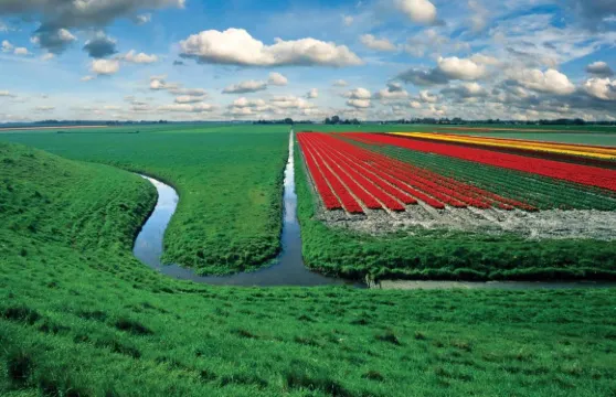 Hotelhuisjes 安代克酒店