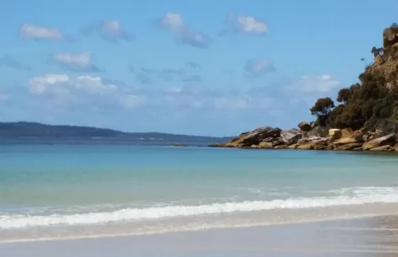 比茲尼茲住宿加早餐旅館