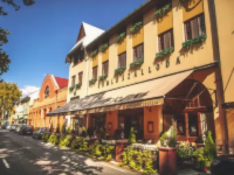 Komló Hotel Hotels in Gyula