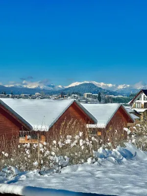 Villa Mtashi Hotels in Bakuriani