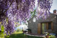 Azienda Agricola Le Cetinelle Hotel in zona Piccole Armonie Snc Di Pietrini Donatella E Prina Cristina Adelaide