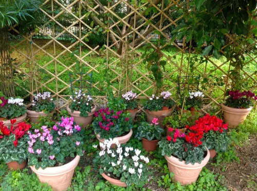 리르마 B&B