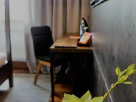 Ebracher Hof Hotels in Schweinfurt