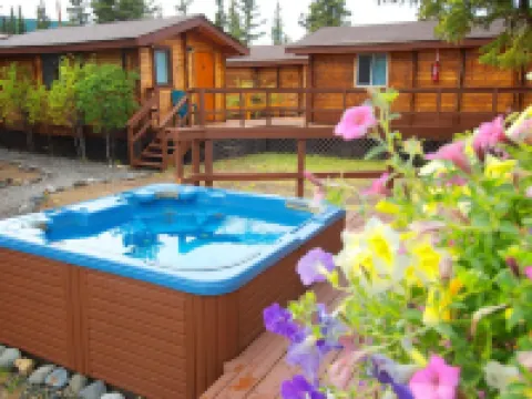 Denali Cabins Hotels in Denali