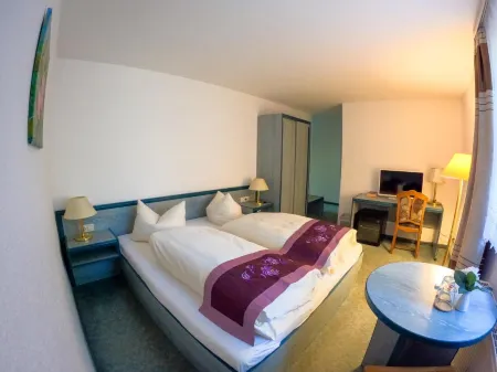 Hotel Diana Отели в г. Фалькензе