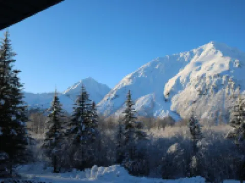 Spruce Lodge Hotels in Seward