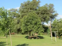 Bungalows Mexico Hotels in 