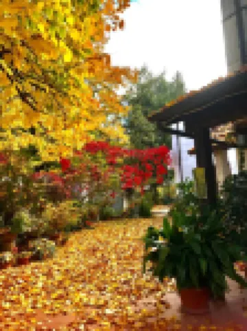 B&B stella polare Rieti