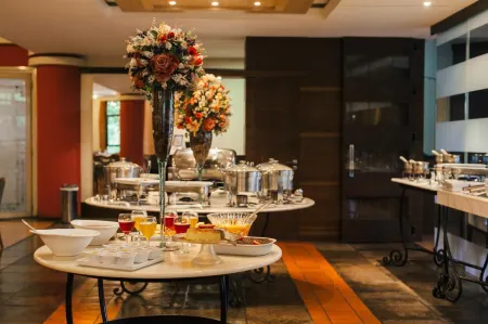 Swan Novo Hamburgo Отели в г. Нову-Амбургу