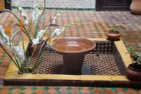 リヤド メンセ エ シトロン