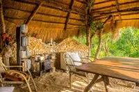 Sanctuaria Treehouses Busuanga Hotels in Palawan