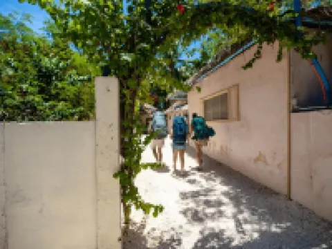 Mad Monkey Panglao Các khách sạn ở 