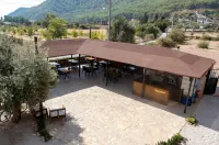 Olive Tree Apart Hotel Hotel di Ekincik